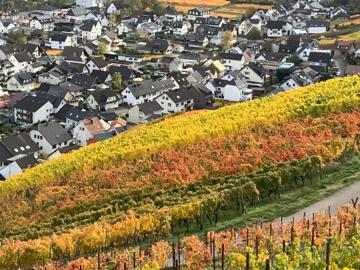 Rheinvilla Arte Remagen Exterior photo