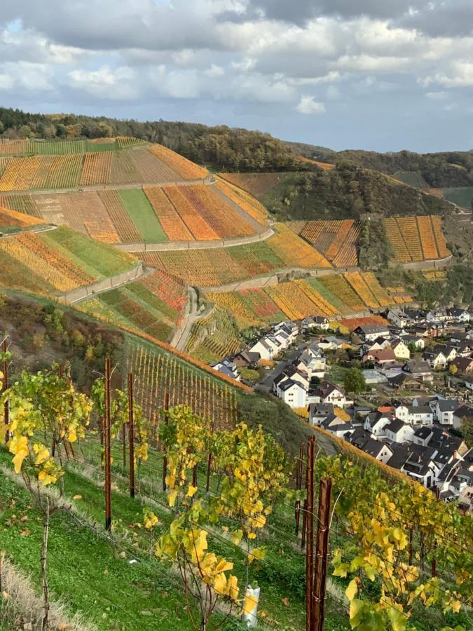 Rheinvilla Arte Remagen Exterior photo